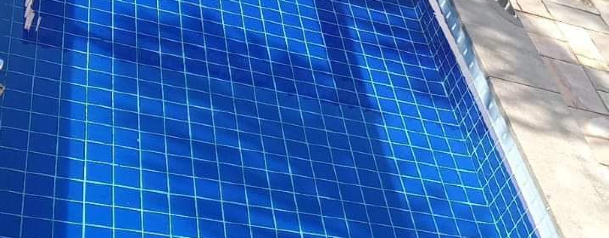 WhatsApp Image 2024-08-04 at 08.20.41