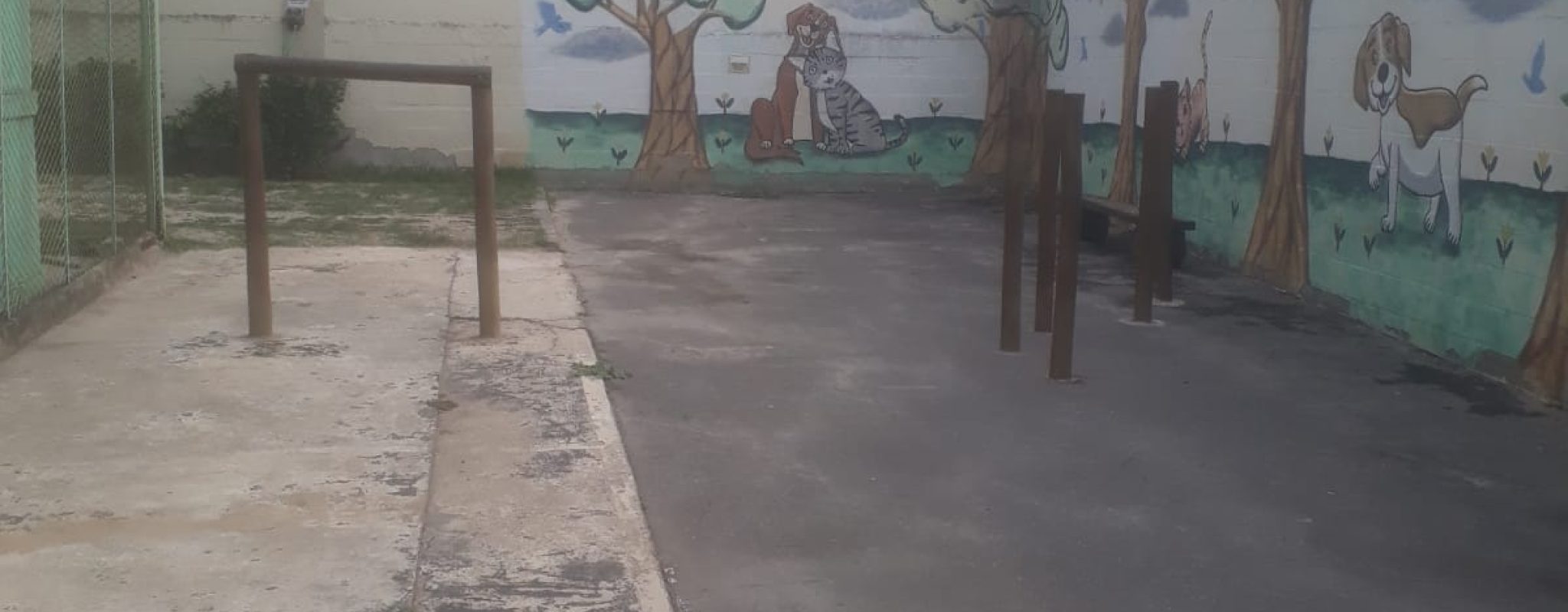 WhatsApp Image 2025-08-19 at 15.35.32